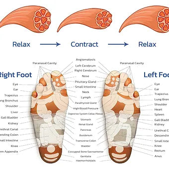 Rebolet | EMS Fußmassager