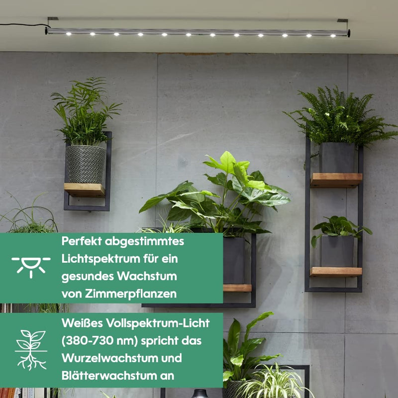 Parus by Venso Wall Spot 60cm, Abstrahlwinkel 45°, LED Wachstumslampe, Grow Light für Zimmerpflanzen und Grünpflanzen, Fassaden- und Wandbegrünung