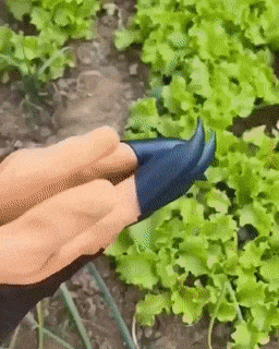 Rebolet | Garten Pflanzenhandschuhe