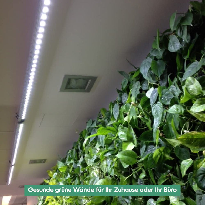 Venso EcoSolutions Pflanzenlicht Spotleiste Lichtleiste Wall 120cm, 60W, 120° (8018503530)