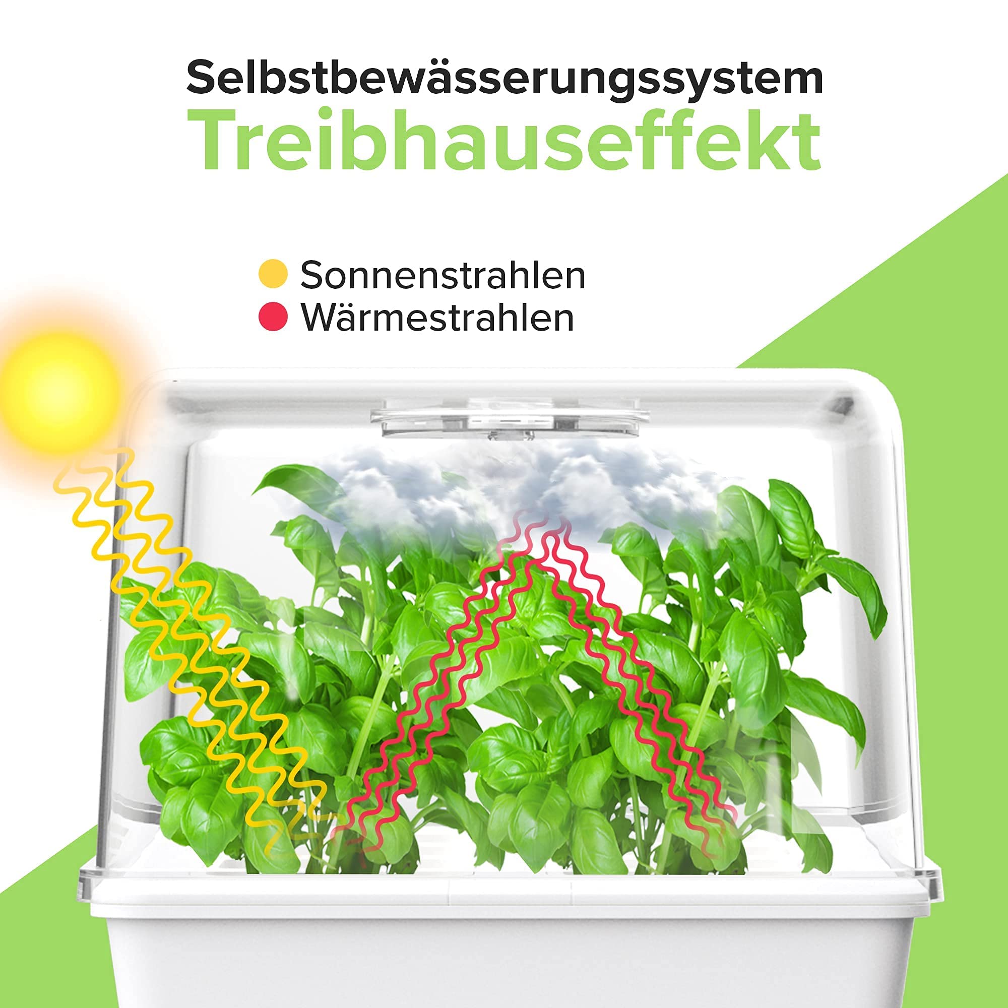 MUNROOMY Mini Gewächshaus - Zimmergewächshaus mit Selbstbewässerungssystem - Ideal als Anzucht Set für die Fensterbank - Indoor Kräutergarten