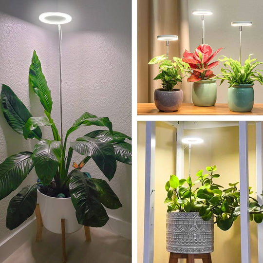 Rebolet | kaufsy - Pflanzenlicht für Zuhause