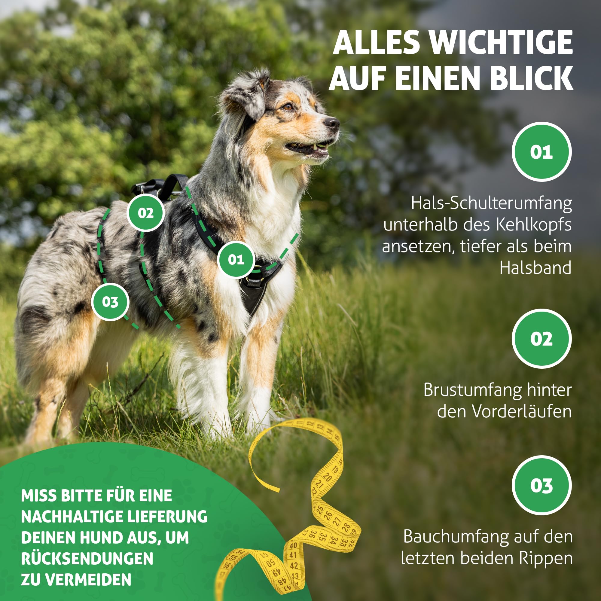 Sicherheitsgeschirr Hund (Schwarz, XS)