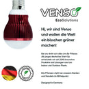 Parus by Venso GrowLight Winter E27 LED Pflanzenlampe 7W 120°, Venso Ecosolutions Vollspektrum LED Überwinterungslampe Pflanzenlampe LED Vollspektrum, LED Birne, Vollspektrum E27 Pflanzenlampe Birne