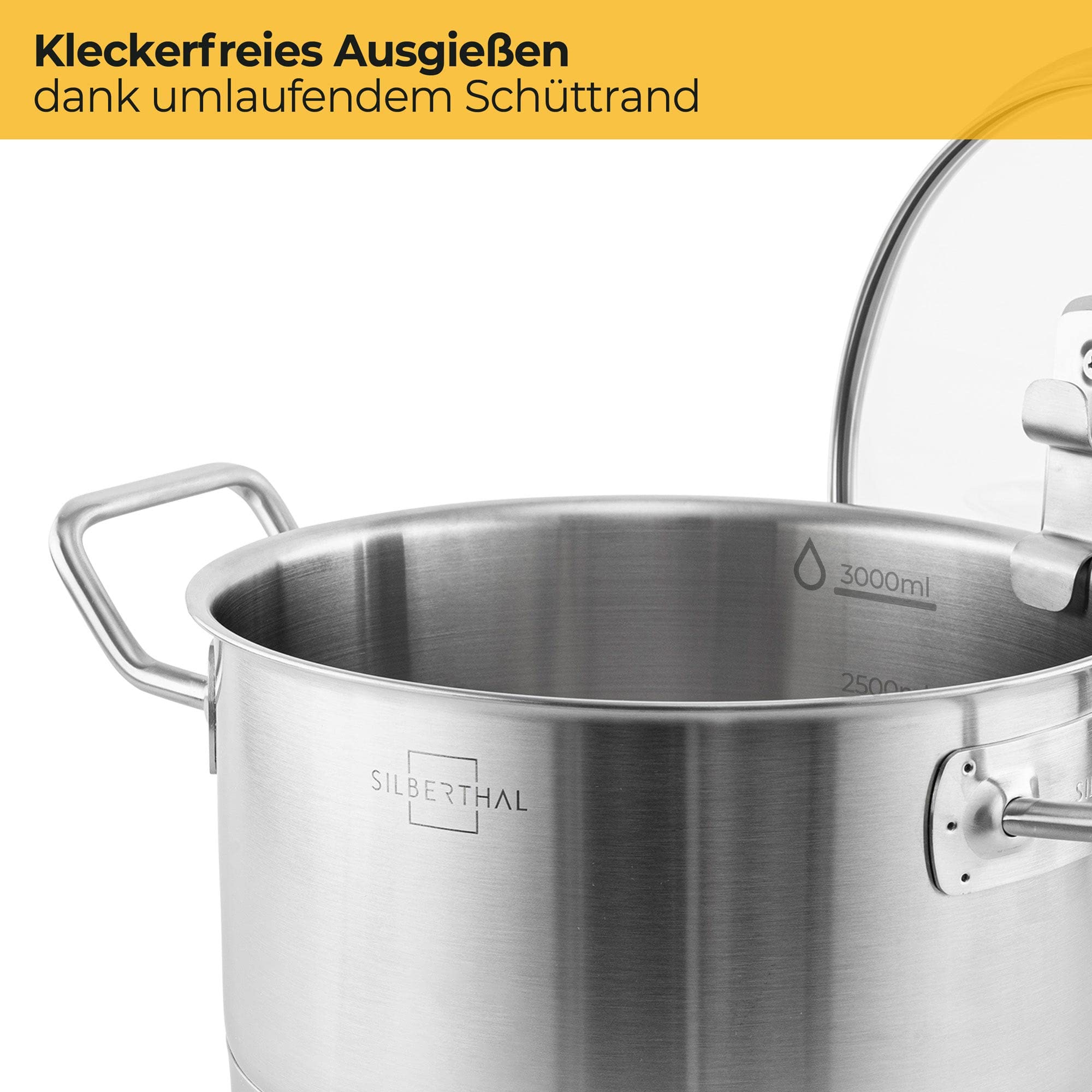 SILBERTHAL Kochtopf Induktion 20 cm - Edelstahl - 3,5L - Topf mit Deckel zum Einhängen - Für alle Herdarten - Ofenfest