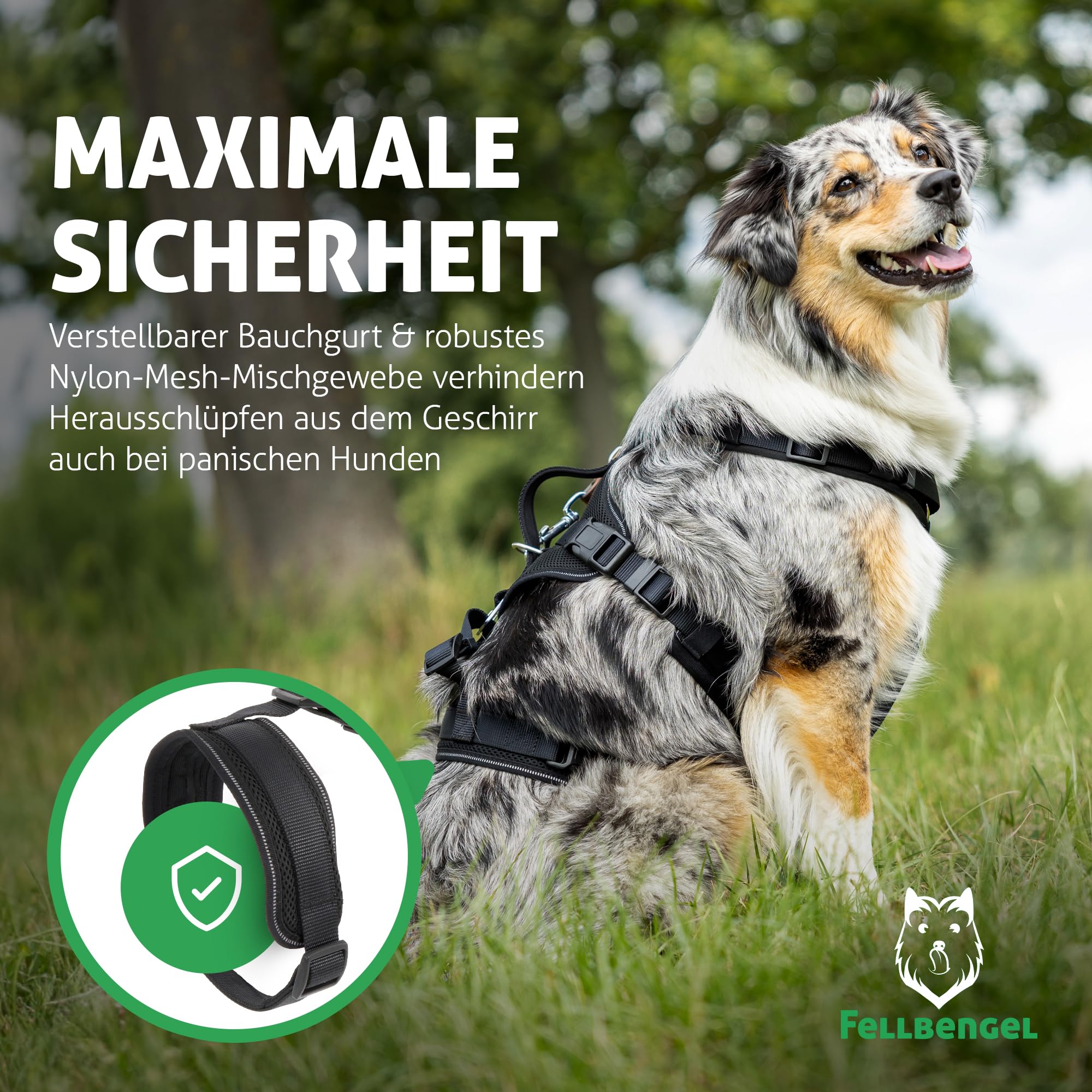 Sicherheitsgeschirr Hund