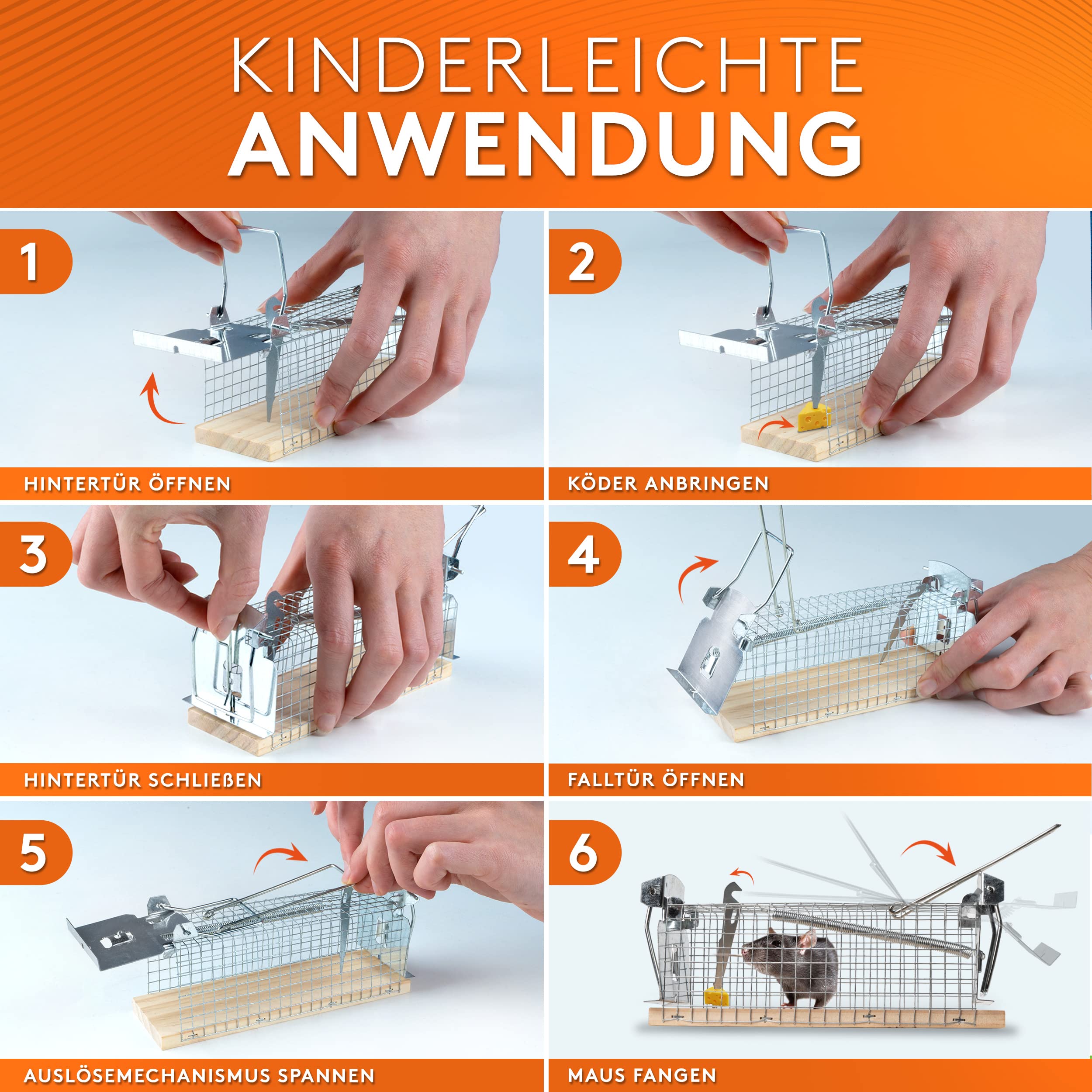 WERKTAL Mausefalle lebend - Hochsensitive Lebendfalle Maus [4er Set] - Tierfreundliche Mäusefalle mit Doppeltür - Einfache Köderfixierung - Wiederverwendbare Rattenfalle lebend - Mit Tipps & Tricks