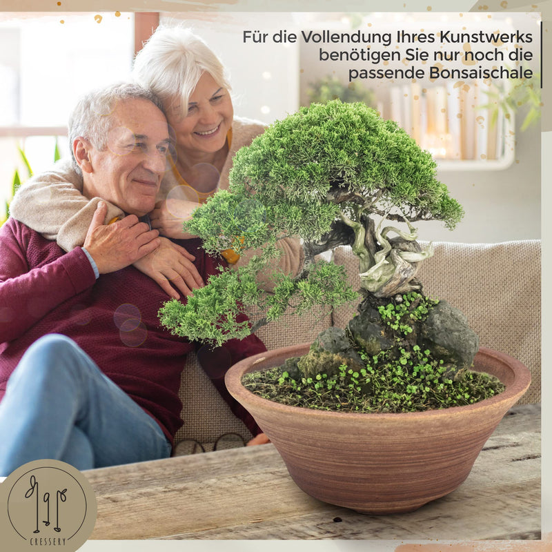 Cressery® Bonsai Schale aus Steingut-Keramik [Handmade, frostsicher, 18 cm, rund, gelb] | Bonsai Topf | Bonsaischale - Jetzt passende Farbe wählen