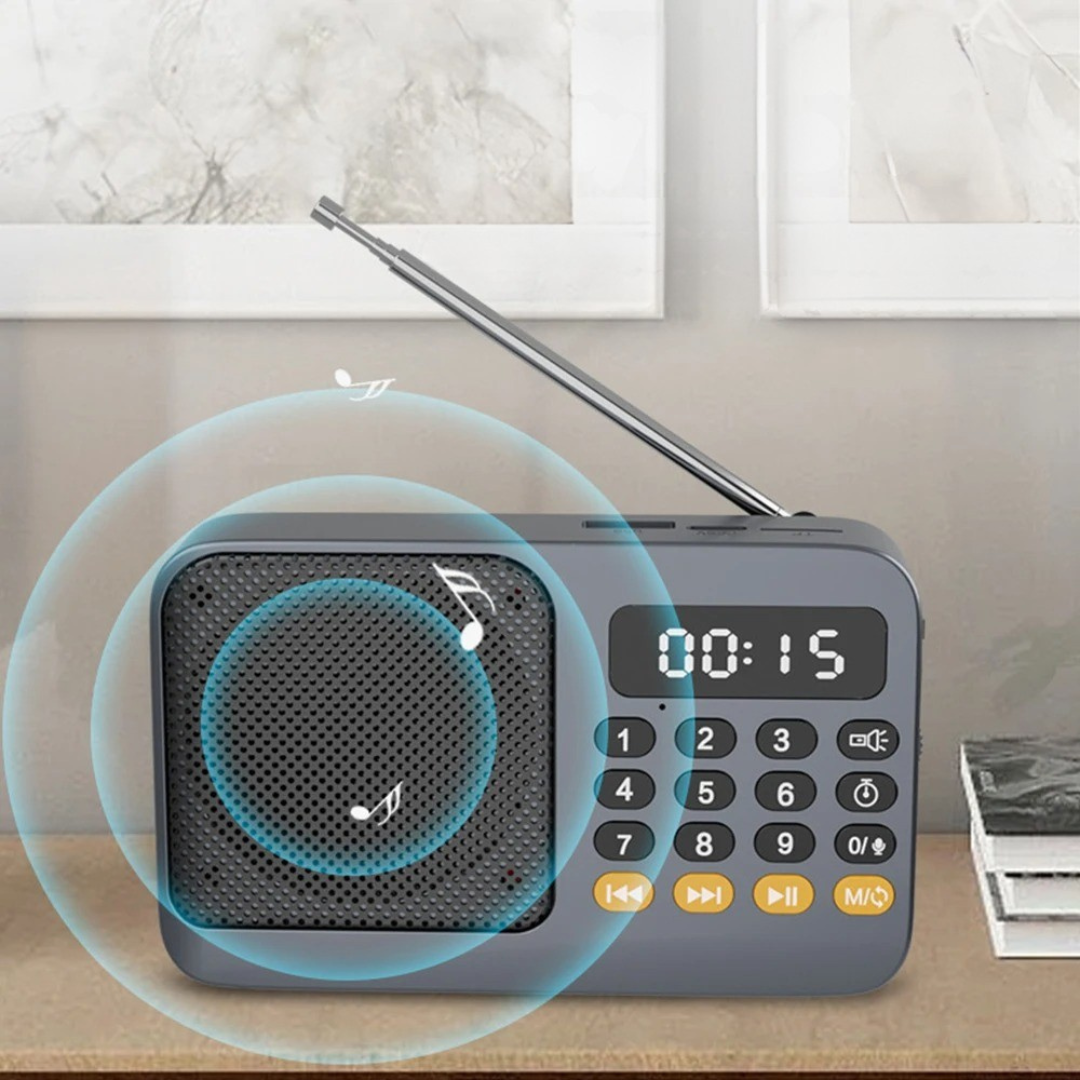 Audionix Tragbarer Akku-Radioempfänger mit Bluetooth-Lautsprecher