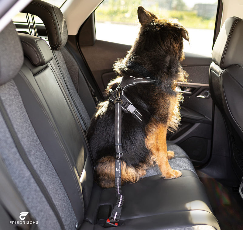 Hundegurt fürs Auto mit Ruckdämpfer