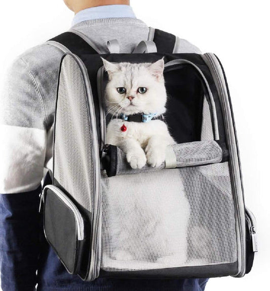 Rebolet | Rucksackträger Katze
