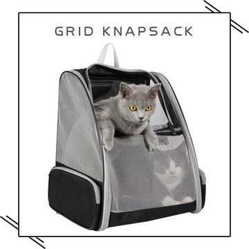 Rebolet | Rucksackträger Katze
