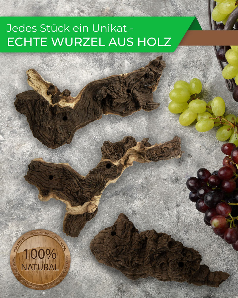 Deggelbam Schnapsgläser/Grappagläser/Grappawurzel edel auf Einer Wurzel aus echtem Holz. Jedes Stück EIN Unikat! Perfekt als Vatertagsgeschenk, Geburtstagsgeschenk und für jeden Genießer