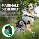 Sicherheitsgeschirr Hund (Schwarz, S)