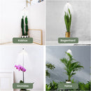 Parus by Venso SUNLiTE XL LED Vollspektrum Pflanzenlampe Weiß 25W Indoor Plants Pflanzen Beleuchtung, mit ausziehbarem Teleskopstab, Parus Pflanzenlampe für große und kleine Zimmerpflanzen