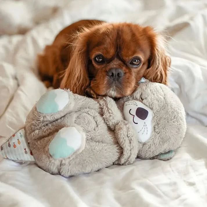 Rebolet | Beruhigendes Kuscheltier für Welpen & Kätzchen