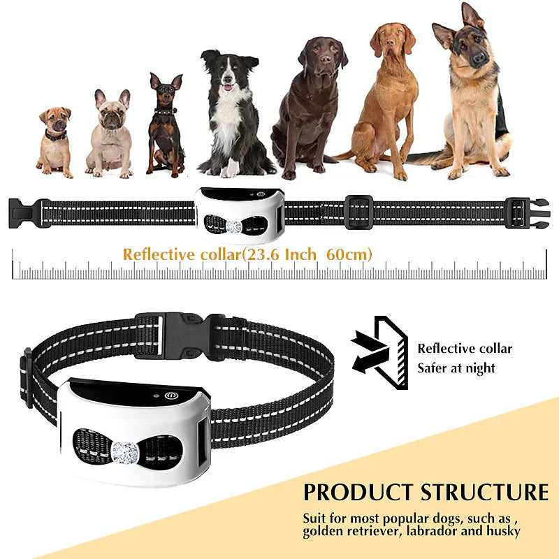 Rebolet | 2-in-1 Kabellose Hundezwinger und Outdoor Trainingshalsband