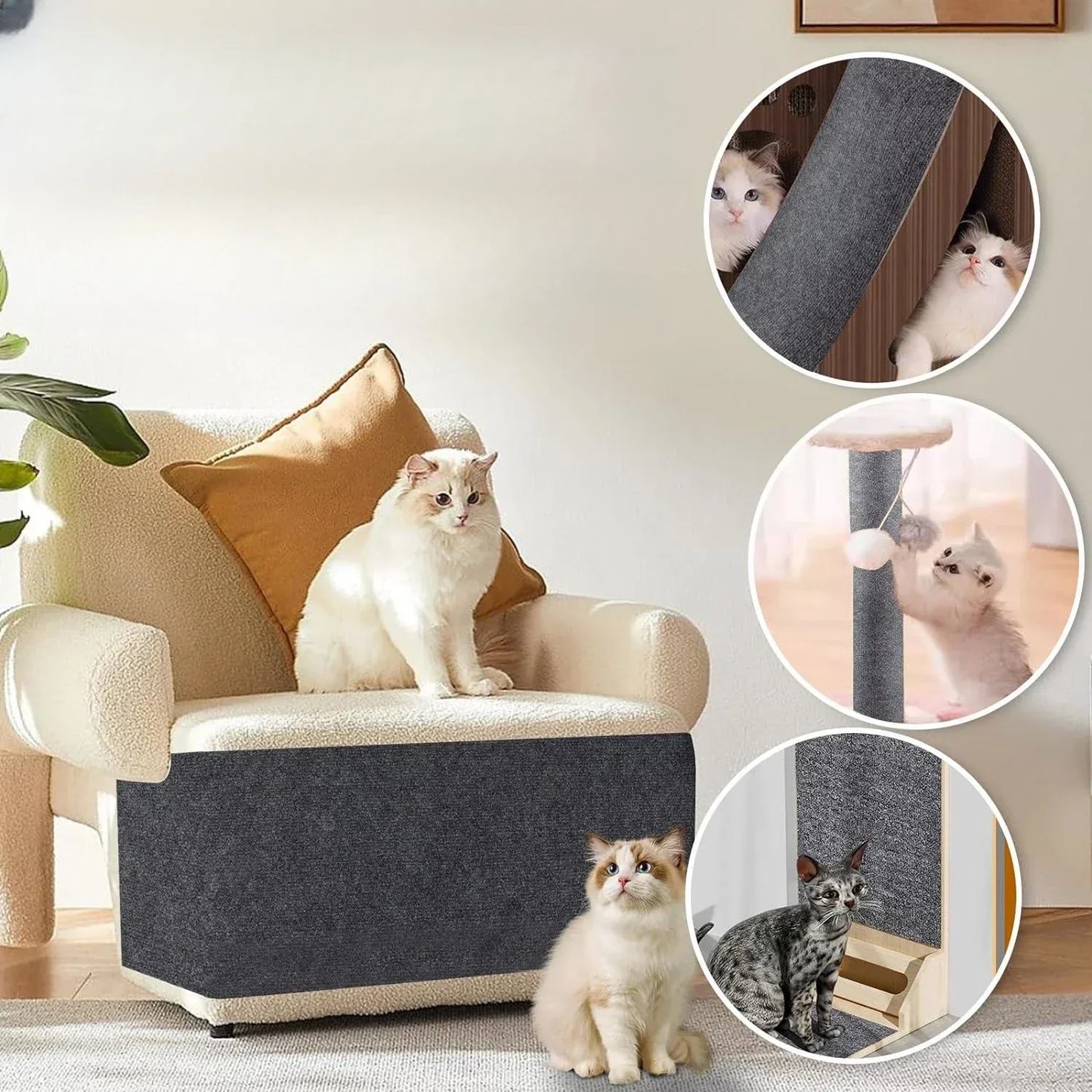 Rebolet | Pawver – kratzschutz für möbel transparent & robust – für katzenhaushalte