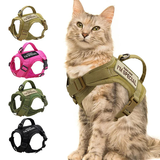 Katzen-Geschirrweste – Tactical, bequem & sicher