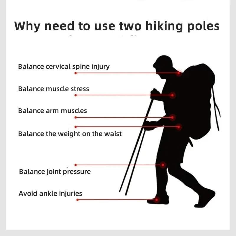 Rebolet | Faltbare Trekkingstöcke für Wandern & Outdoor-Abenteuer