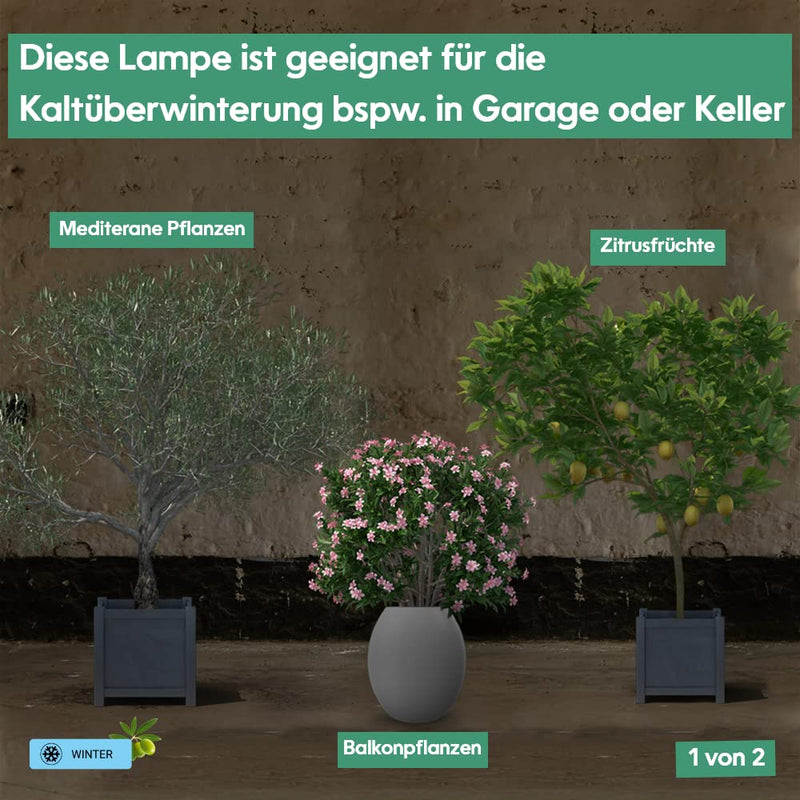 GrowLight Quattro - Parus by Venso LED Pflanzenlampe 60W, Anzuchtlampe LED Pflanzenlampe Vollspektrum, Überwinterung Venso Ecosolutions Pflanzen Licht, Pflanzenlampe Anzucht, Pflanzenlicht LED