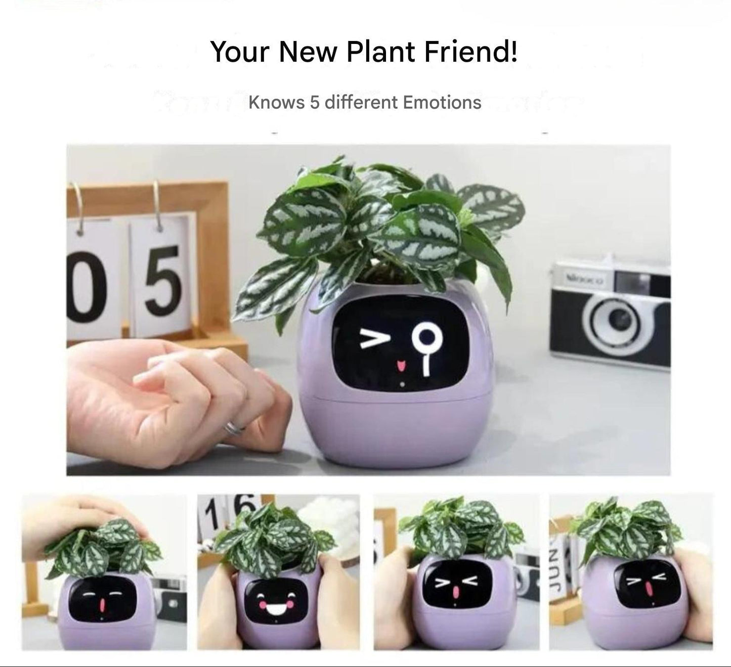 Rebolet| Automatischer smarter Blumentopf - GreenBuddy SmartPot