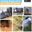 MAUSOX® Premium Mausefalle Lebend - Verbessertes Konzept 2020 - Wiederverwendbare Lebendfalle Mäuse Falle für Maus Ratten Siebenschläfer - Tierfreundliche Rattenfalle Mäusefalle für Drinnen & Draußen