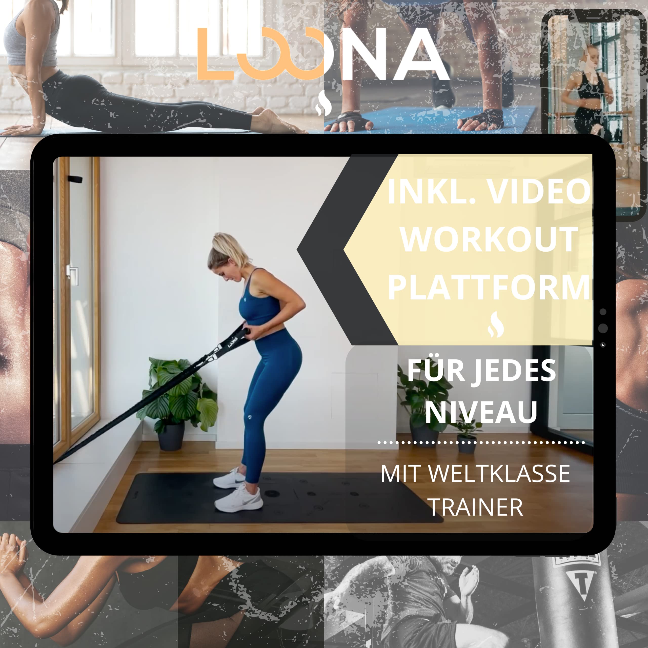 Loona Gym – Pull Handles – Die optimale Ergänzung für Widerstandsbänder Gym geeignet für Anfänger und Profis - Fitness-Zuggriffe, Workout-Pull-Griffe, Ziehgriffe für Fitness Zuggriff-Sets, Training Fitness-Handgriffe