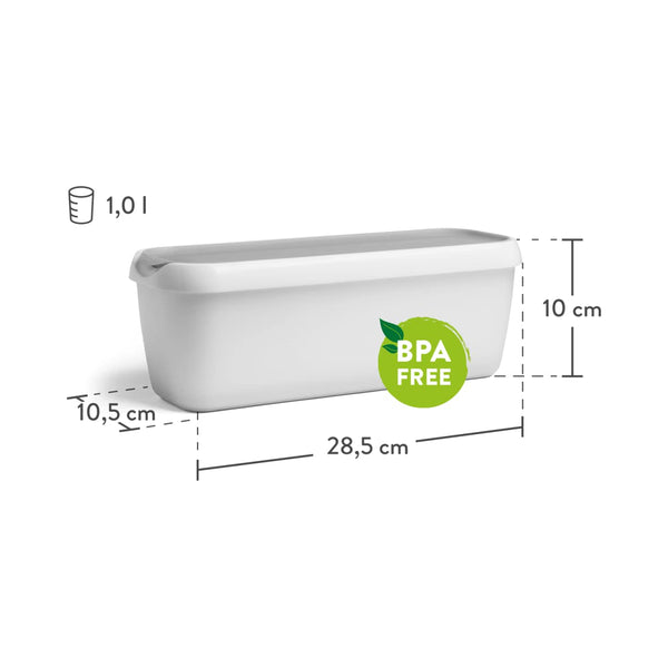 SPRINGLANE 2er-Set Eisbehälter für Speiseeis 1 L, Aufbewahrungsbehälter, Gefrierdosen, Eis-Container BPA-frei in Lebensmittelqualität