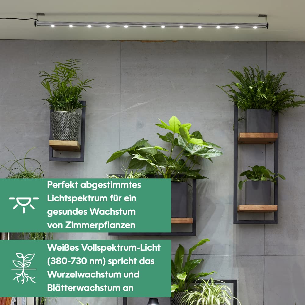 Venso EcoSolutions Pflanzenlicht Spotleiste Lichtleiste Wall 150cm, 75W, 120° (8018503540)