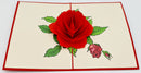 Rote Rose Blumen Karte Geschenk pop up 3D mit Blumen Rose Muttertag Romantische Liebeskarte zu Hochzeitstag Geburtstagskarte Glückwunschkarte Verlobung Liebeserklärung 