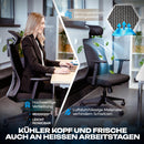 VALKENSTOL M3 Komfort Ergonomischer Bürostuhl 150 kg – [Höhenverstellbare Lordosenstütze] Schreibtischstuhl Bürostühle Bürostuhl Ergonomisch PC Stuhl Drehstuhl Office Chair Ergonomic Desk