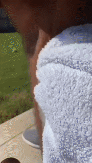 Rebolet | Schaum-Haarentfernungspray