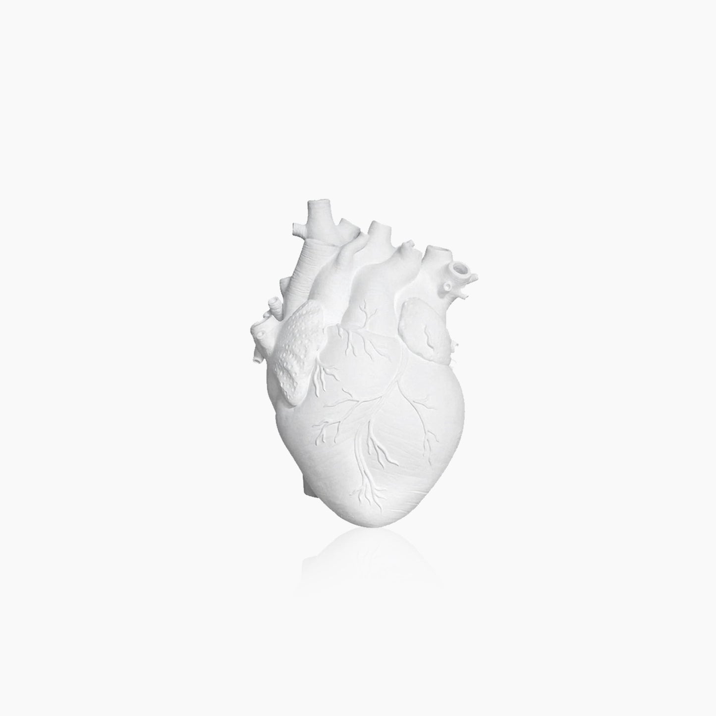 Rebolet| Herz Trocken Pflanzen Kunst Vase