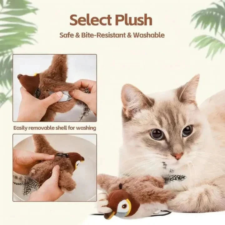 | energiesparend, sicher & perfekt für aktive Katzen