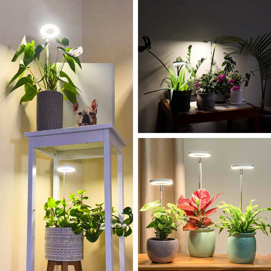 Rebolet | kaufsy - Pflanzenlicht für Zuhause